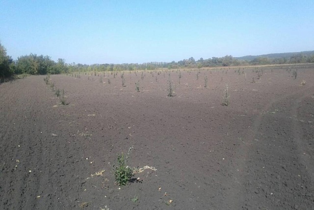 Специалисты отдела экономики, развития сельского хозяйства и продовольствия администрации Камешкирского района посетили ИП Мальцев Н.Н.- Глава КФХ Специалисты отдела экономики, развития сельского хозяйства и продовольствия администрации Камешкирского района посетили ИП Мальцев Н.Н.- Глава КФХ
