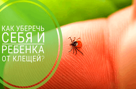 О рекомендациях, как защитить детей от клещей