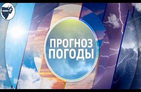 Погода на завтра