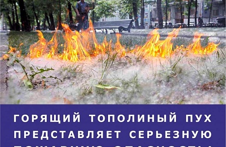 «Внимание-тополиный пух» «Внимание-тополиный пух»