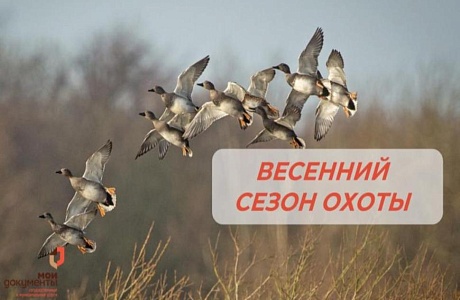 СТАРТ ВЕСЕННЕГО СЕЗОНА ОХОТЫ!  