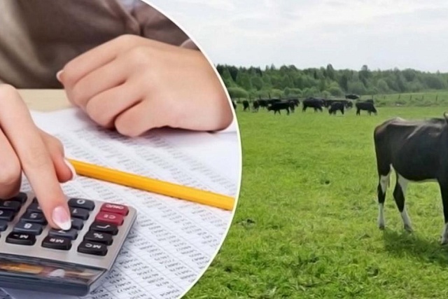 Предприятия агропромышленного комплекса Камешкирского района  могут привлекать льготные краткосрочные и льготные инвестиционные кредиты