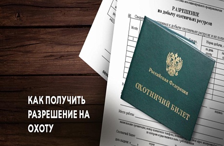 Порядок выдачи разрешений на добычу охотничьих ресурсов на пернатую дичь в МФЦ Порядок выдачи разрешений на добычу охотничьих ресурсов на пернатую дичь в МФЦ