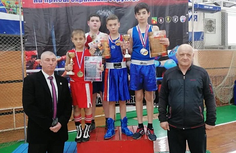 Спортсмены из Камешкирского района заняли первые места в IX традиционном новогоднем турнире по боксу “Дружина”