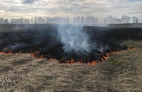 «Поджог травы-это не шалость, это-преступление!» «Поджог травы-это не шалость, это-преступление!»