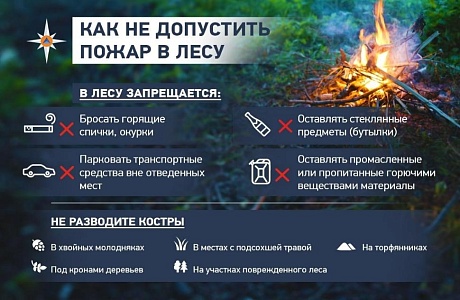 «Как не допустить пожара в лесу» «Как не допустить пожара в лесу»
