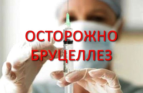 Осторожно! Бруцеллез! Осторожно! Бруцеллез!