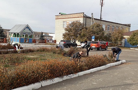 Благоустройство прилегающей территории