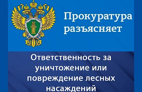 Ответственность за уничтожение или повреждение лесных насаждений Ответственность за уничтожение или повреждение лесных насаждений