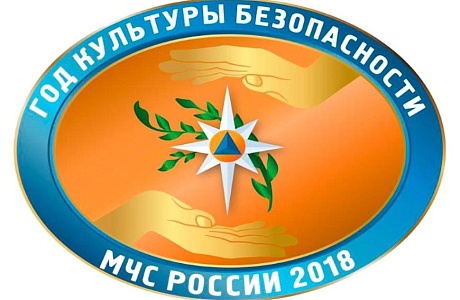 Год культуры безопасности
