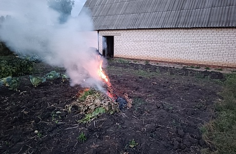 На территории Камешкирского района продолжаются профилактические рейды На территории Камешкирского района продолжаются профилактические рейды