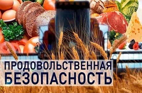 Конференция «Продовольственная безопасность, развитие цифрового городского растениеводства «Агротех-30-50» Конференция «Продовольственная безопасность, развитие цифрового городского растениеводства «Агротех-30-50»