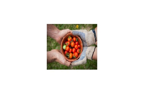 Предприниматели смогут продавать свежие продукты на Озон Предприниматели смогут продавать свежие продукты на Озон