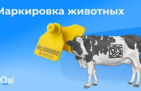 Маркировка животных: что важно знать? Маркировка животных: что важно знать?