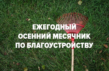 На территории Камешкирского района проводится месячник по благоустройству и санитарной очистке населенных пунктов