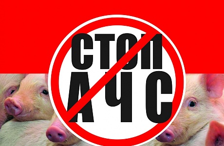Памятка для владельцев свиней: Африканская чума свиней Памятка для владельцев свиней: Африканская чума свиней