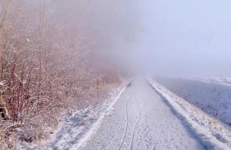 Прогноз погоды Прогноз погоды