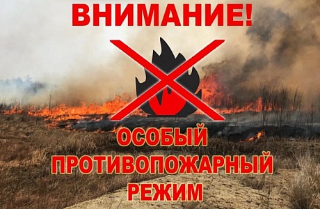 На территории Пензенской области действует особый противопожарный режим На территории Пензенской области действует особый противопожарный режим