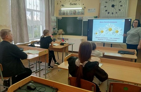 Белая ромашка — символ чистого дыхания: классные часы о здоровье