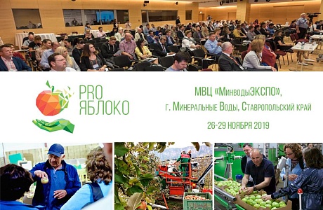 Первая Международная отраслевая выставка-конференция «PROЯБЛОКО 2019» Первая Международная отраслевая выставка-конференция «PROЯБЛОКО 2019»