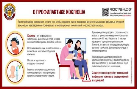 О профилактике коклюша