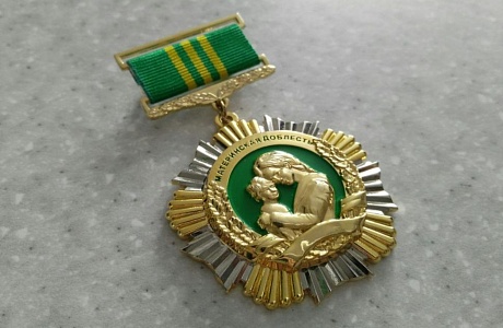 Какие льготы полагаются женщинам, награжденным медалью «Материнская доблесть»