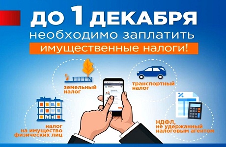 Администрация Камешкирского района напоминает о необходимости  оплаты имущественных налогов в срок до 1 декабря 2025 года