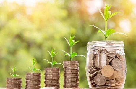 Корпорация МСП запустила бесплатную программу ускоренного развития бизнеса для предпринимателей «МСП: Акселератор инноваций»