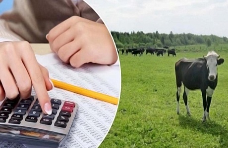 Важно!!!Отчетность о финансово-экономическом состоянии товаропроизводителей АПК Камешкирского района за 2021 год
