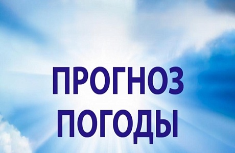 Прогноз погоды Прогноз погоды