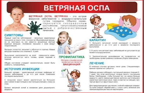 Роспотребнадзор информирует о профилактике ветряной оспы в детских организованных коллективах