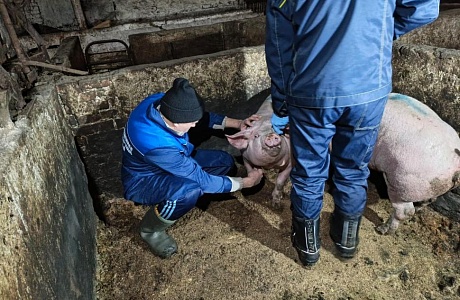 Зональный учебный семинар в Русском Камешкире Зональный учебный семинар в Русском Камешкире