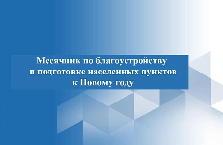 На территории Камешкирского района проводится месячник по благоустройству и подготовке населенных пунктов к Новому году  