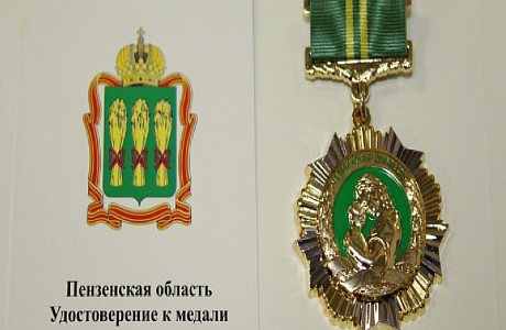 Какие льготы полагаются женщинам, награжденным медалью «Материнская доблесть» Какие льготы полагаются женщинам, награжденным медалью «Материнская доблесть»