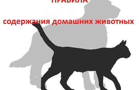 Важная информация Важная информация