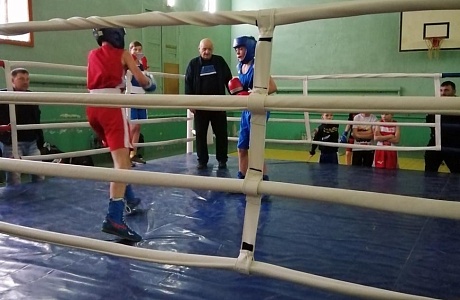Товарищеская встреча по боксу «Звездный дождь»