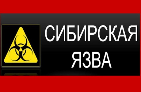Внимание! Сибирская язва! Внимание! Сибирская язва!