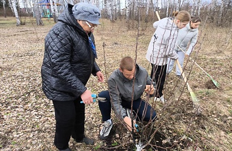 Благоустройство Сада Победы