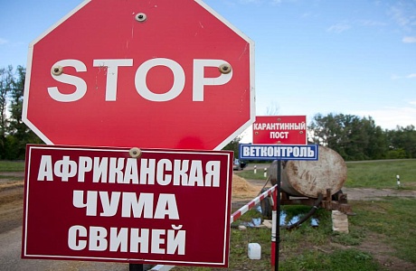 Памятка для владельцев свиней: Африканская чума свиней Памятка для владельцев свиней: Африканская чума свиней