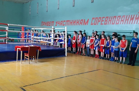 Боксерский турнир, посвященный Дню Защитника Отечества