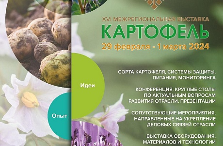 XVI Межрегиональная отраслевая выставка «Картофель - 2024»