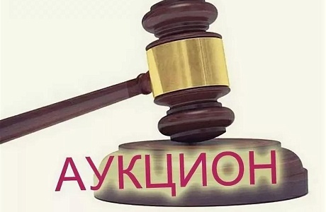 Администрация Камешкирского района Пензенской области (организатор торгов) объявляет о проведении открытого аукциона Администрация Камешкирского района Пензенской области (организатор торгов) объявляет о проведении открытого аукциона
