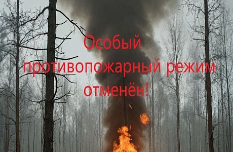 Отменён особый противопожарный режим на территории Пензенской области