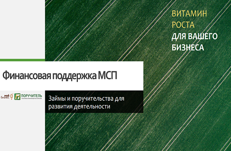 Презентация линейки продуктов АО МКК "Поручитель"