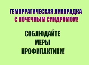 Осложнение эпидемиологической ситуации по геморрагической лихорадке с почечным синдромом