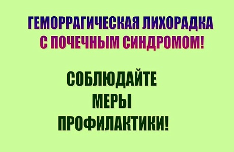 Осложнение эпидемиологической ситуации по геморрагической лихорадке с почечным синдромом
