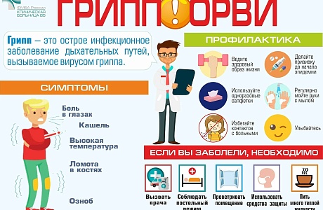 Предсезонная профилактика гриппа и ОРВИ Предсезонная профилактика гриппа и ОРВИ