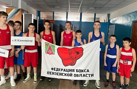 Традиционный турнир по боксу, посвящённый памяти Героя Великой Отечественной войны генерал-майора И. В. Панфилова Традиционный турнир по боксу, посвящённый памяти Героя Великой Отечественной войны генерал-майора И. В. Панфилова