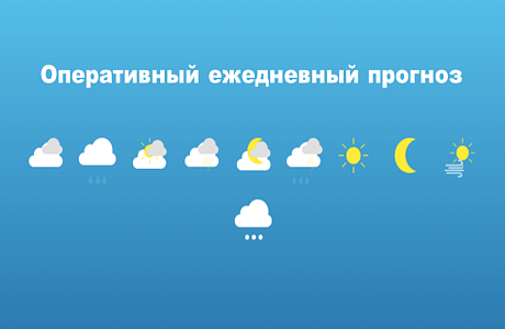 Ежедневный прогноз