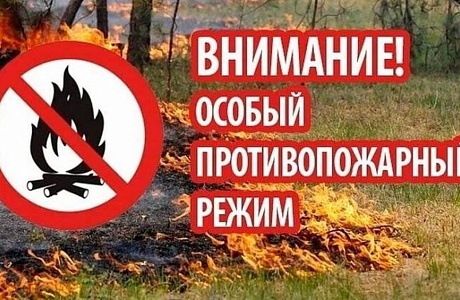 В Пензенской области введён особый противопожарный режим В Пензенской области введён особый противопожарный режим
